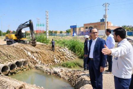 بیدبلند